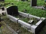 image of grave number 499281